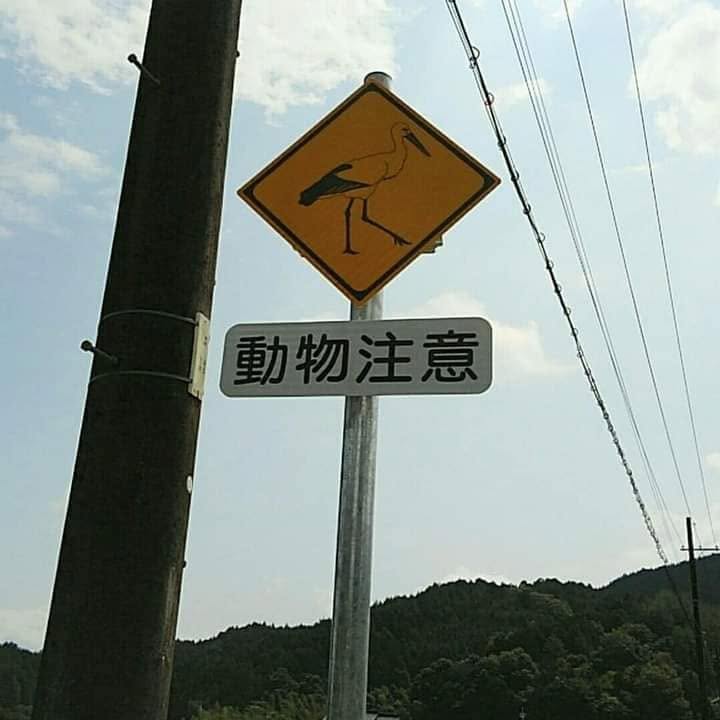 コウノトリを描いた動物注意の道路標識