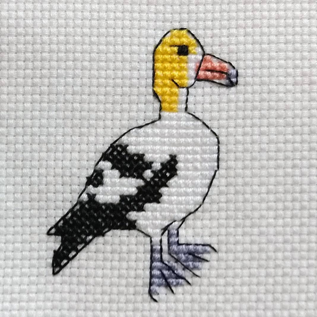 クロスステッチで描いたオキノタユウ（アホウドリ）